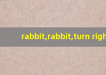 rabbit,rabbit,turn right